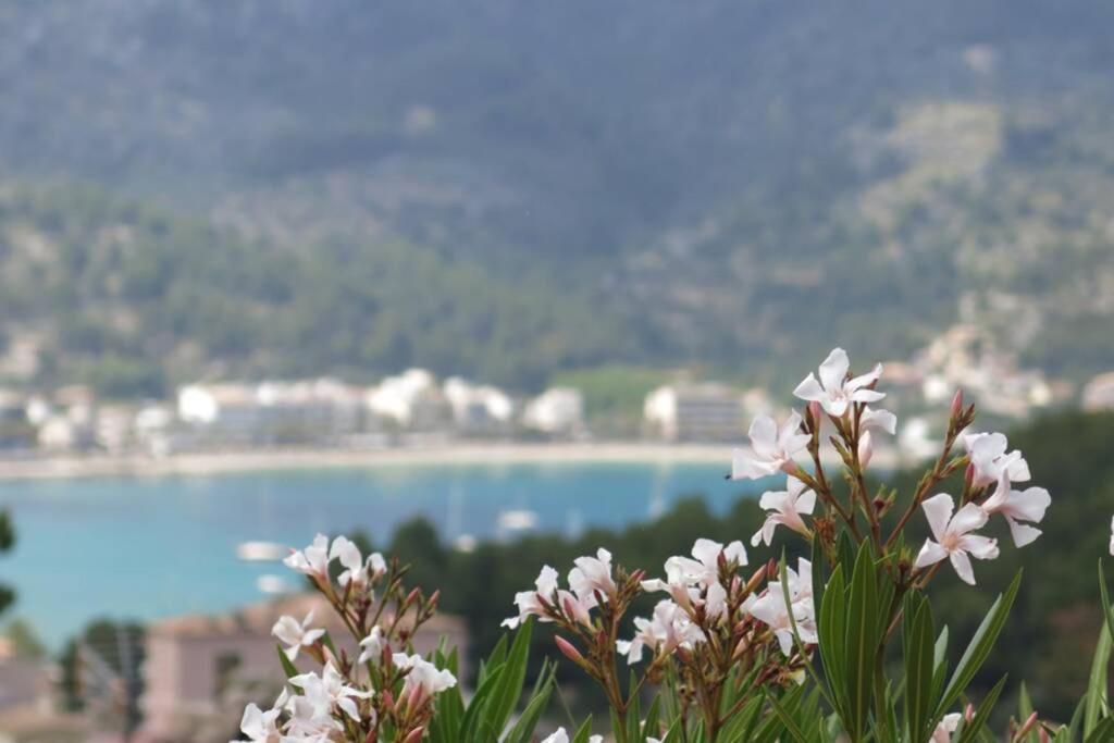 Apartamento En El Puerto De Soller Con Gran Terraza Privada Y Vistas Al Mar. Piscina Comunitaria. Localizado En Un Zona Tranquila Y Muy Soleada. Wifi Gratis Disponible. Parking. Kültér fotó